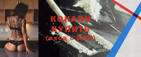 винт Липки