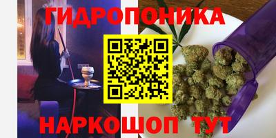 мдпв Гай
