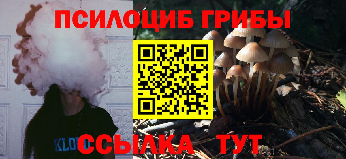 Галлюциногенные грибы Psilocybine cubensis  Вход с VPN  Галлюциногенные грибы Psilocybine cubensis  Сорочинск 